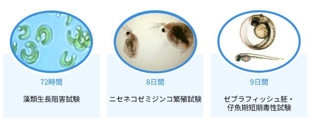 試験開始